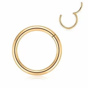 16 Gauge Hinged Segment Hoop Rings Bundle - Gold